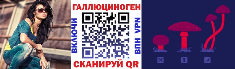 Галлюциногенные грибы Magic Shrooms  Сочи 