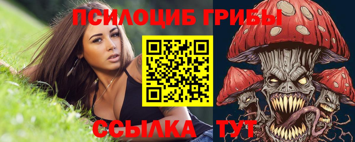 Сочи  Галлюциногенные грибы прущие грибы  Псилоцибиновые грибы ЛСД  Вход с VPN 